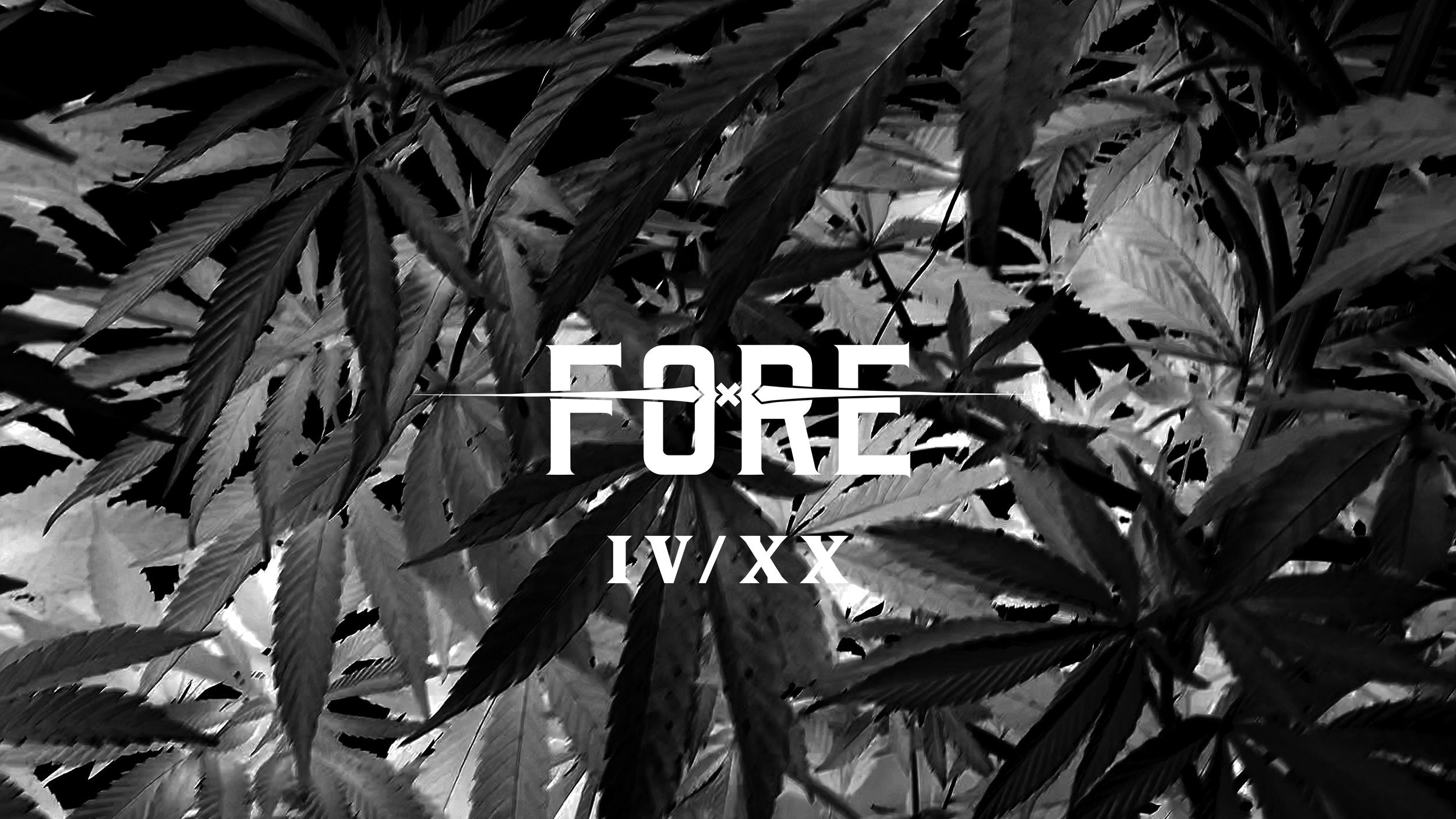 FORETWENTY: TRXP LINE